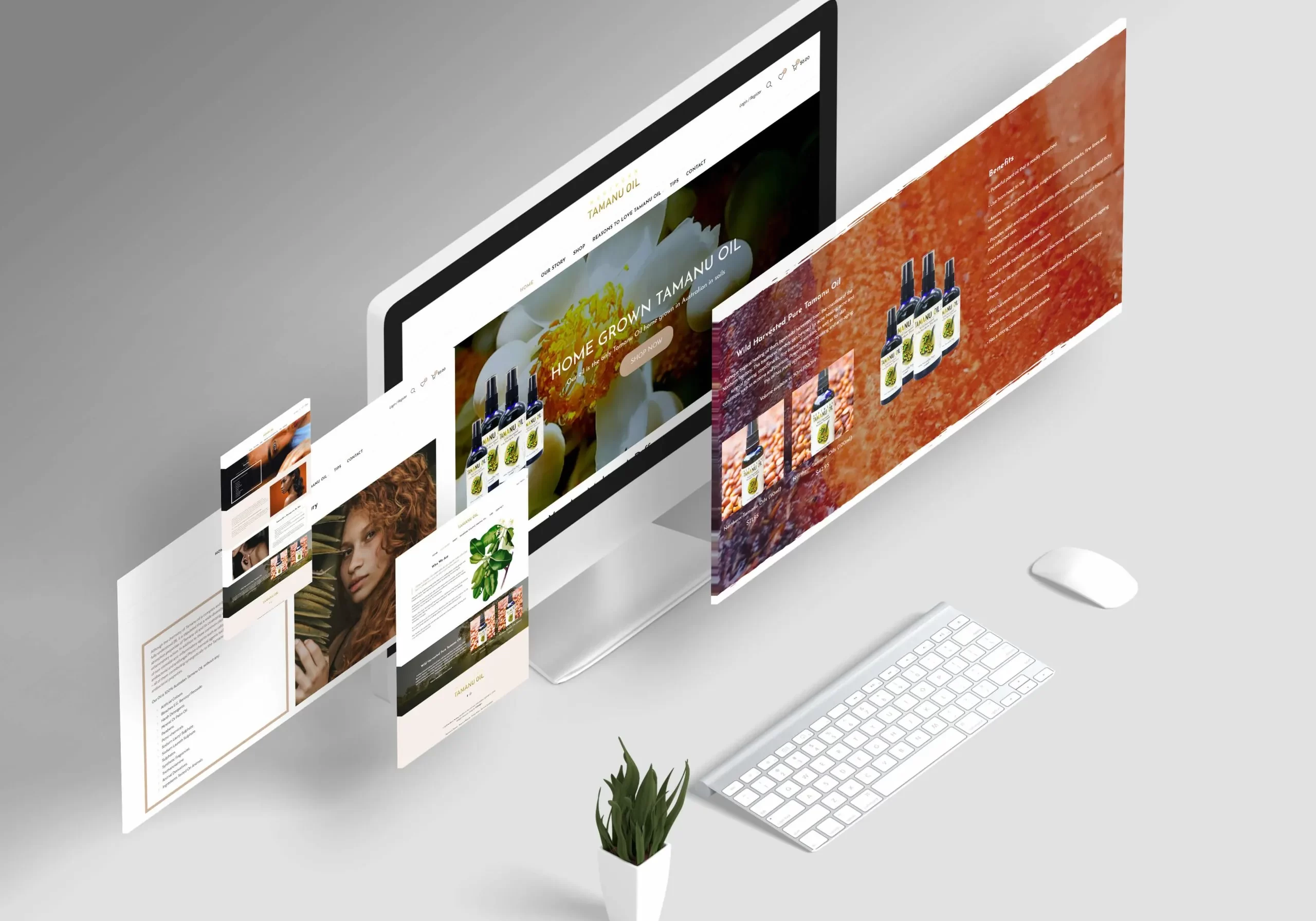 Web-Design-Development-Advanced-Based-scaled